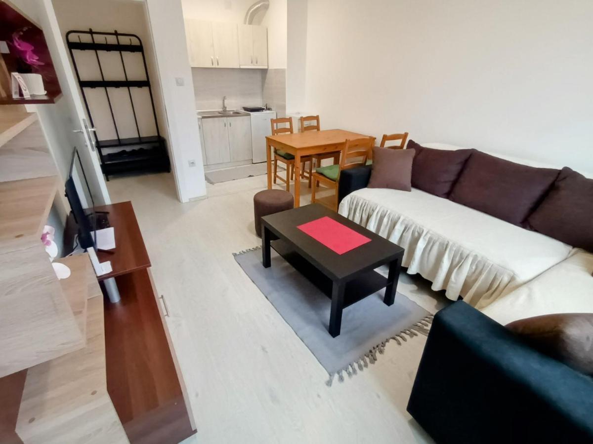 Apartman Rubi Sokobanja エクステリア 写真